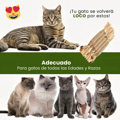 Palitos Dentales de Silvervine Naturales