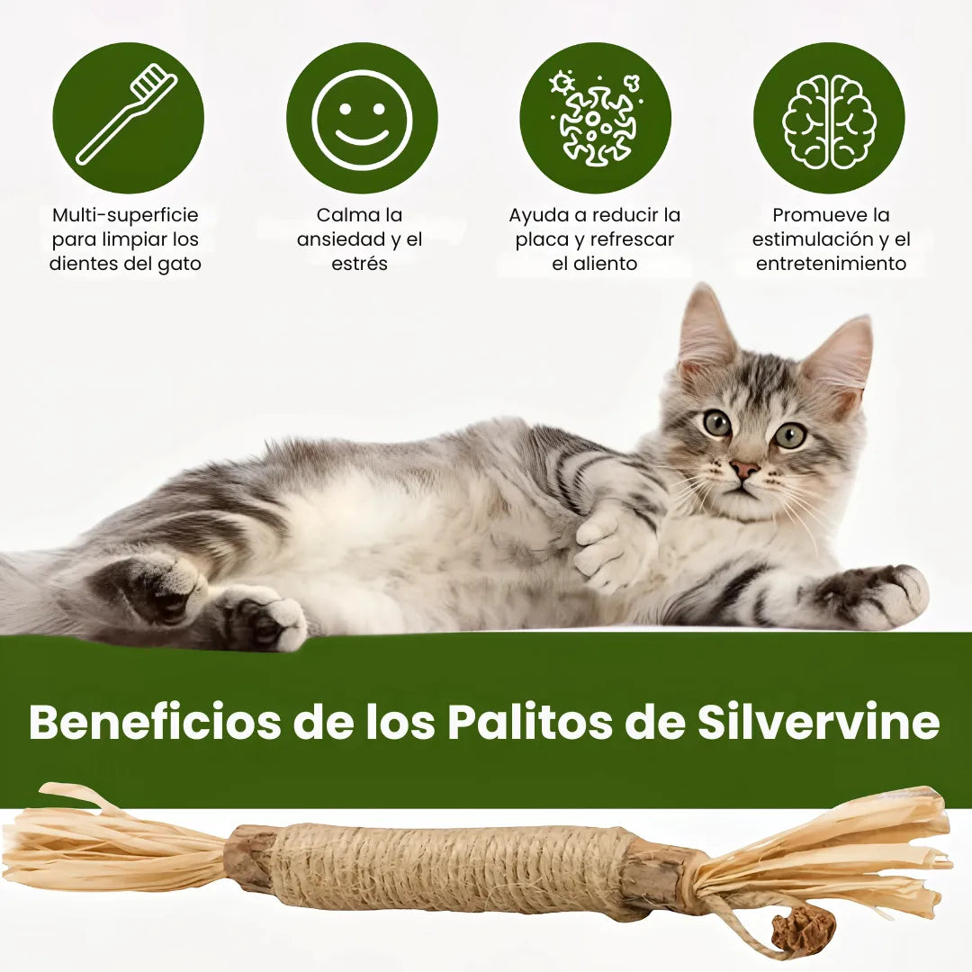 Palitos Dentales de Silvervine Naturales